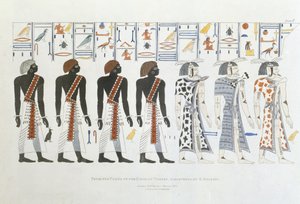 Illustrazioni di geroglifici dalle tombe dei re a Tebe, scoperte da G. Belzoni, tavola 8 da Plates Illustrative of the Researches in Egypt and Nubia, inciso da Charles Hullmandel